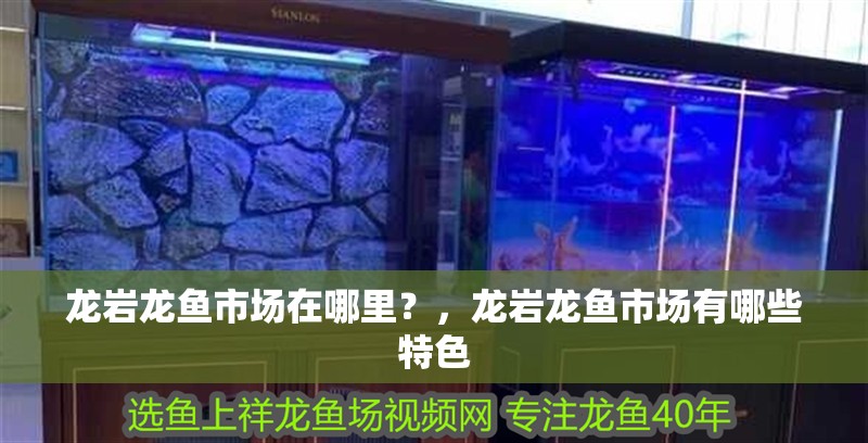 龍巖龍魚市場在哪里？，龍巖龍魚市場有哪些特色