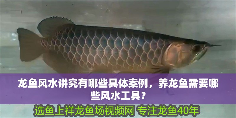 龍魚風(fēng)水講究有哪些具體案例，養(yǎng)龍魚需要哪些風(fēng)水工具？