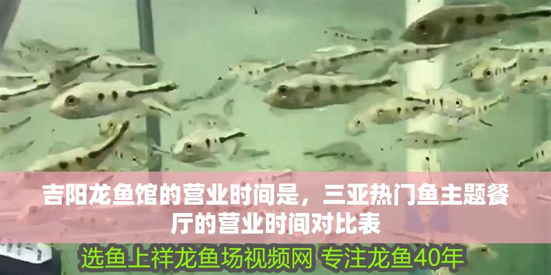 吉陽龍魚館的營業時間是，三亞熱門魚主題餐廳的營業時間對比表