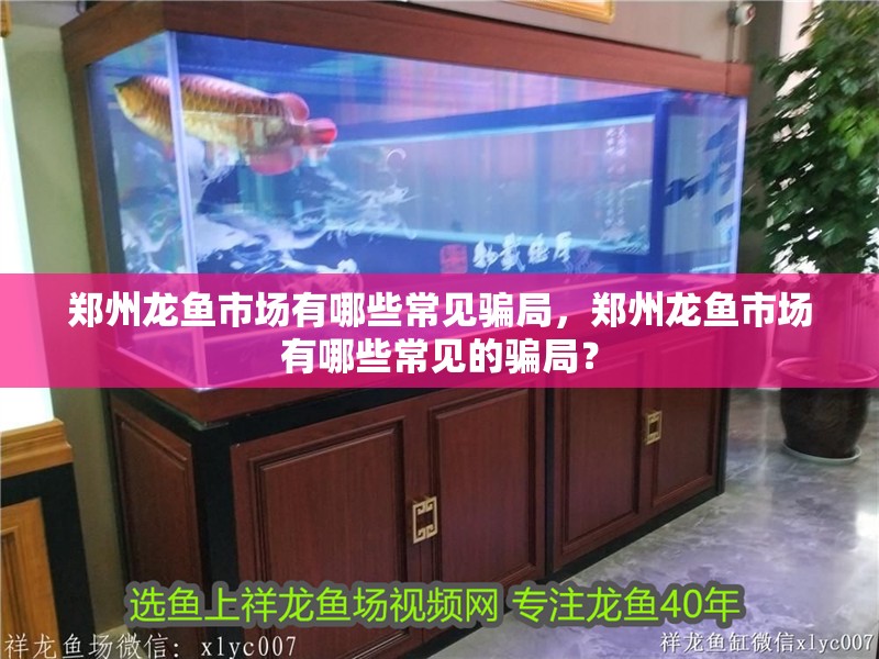 鄭州龍魚市場有哪些常見騙局，鄭州龍魚市場有哪些常見的騙局？