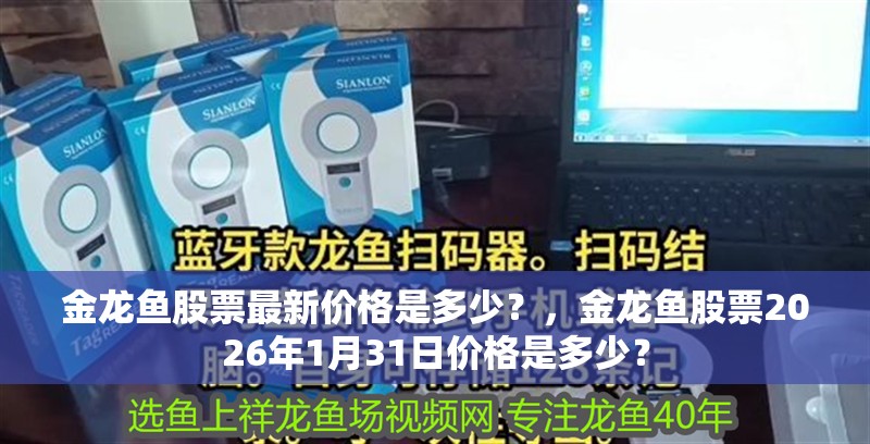金龍魚股票最新價格是多少？，金龍魚股票2026年1月31日價格是多少？