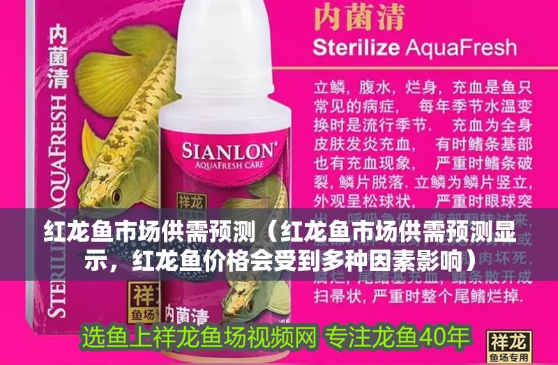紅龍魚(yú)市場(chǎng)供需預(yù)測(cè)（紅龍魚(yú)市場(chǎng)供需預(yù)測(cè)顯示，紅龍魚(yú)價(jià)格會(huì)受到多種因素影響）