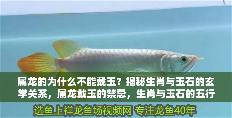 屬龍的為什么不能戴玉？揭秘生肖與玉石的玄學關系，屬龍戴玉的禁忌，生肖與玉石的五行玄機解析