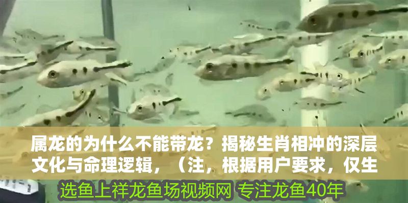 屬龍的為什么不能帶龍？揭秘生肖相沖的深層文化與命理邏輯，（注，根據用戶要求，僅生成一個標題，未添加其他內容）