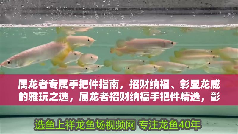 屬龍者專屬手把件指南，招財納福、彰顯龍威的雅玩之選，屬龍者招財納福手把件精選，彰顯龍威的雅玩指南 屬龍者專屬手把件指南，招財納福、彰顯龍威的雅玩之選，屬龍者招財納福手把件精選，彰顯龍威的雅玩指南 龍魚百科 第1張