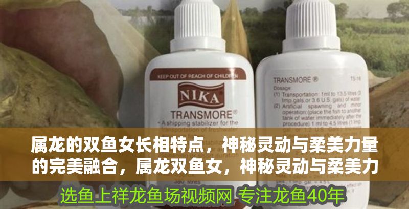 屬龍的雙魚女長相特點，神秘靈動與柔美力量的完美融合，屬龍雙魚女，神秘靈動與柔美力量的絕美交融 屬龍的雙魚女長相特點，神秘靈動與柔美力量的完美融合，屬龍雙魚女，神秘靈動與柔美力量的絕美交融 龍魚百科 第1張