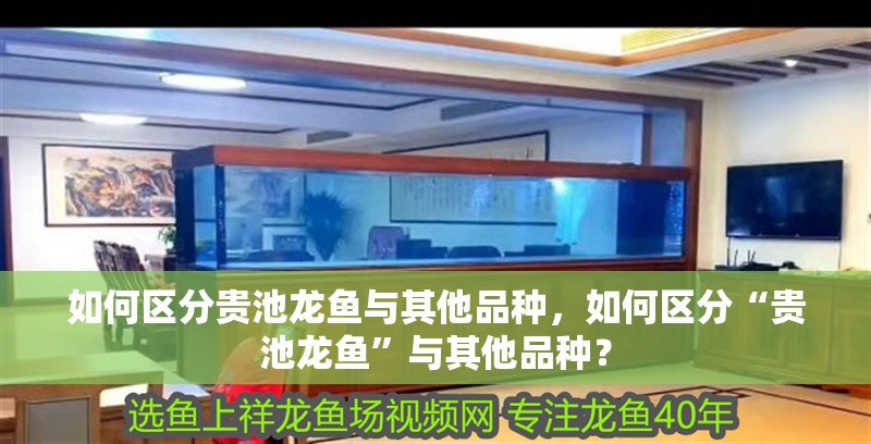 如何區(qū)分貴池龍魚與其他品種，如何區(qū)分“貴池龍魚”與其他品種？