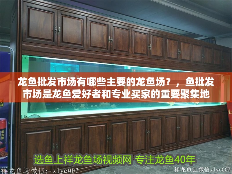 龍魚批發(fā)市場有哪些主要的龍魚場？，魚批發(fā)市場是龍魚愛好者和專業(yè)買家的重要聚集地 龍魚批發(fā)市場有哪些主要的龍魚場？，魚批發(fā)市場是龍魚愛好者和專業(yè)買家的重要聚集地 龍魚百科