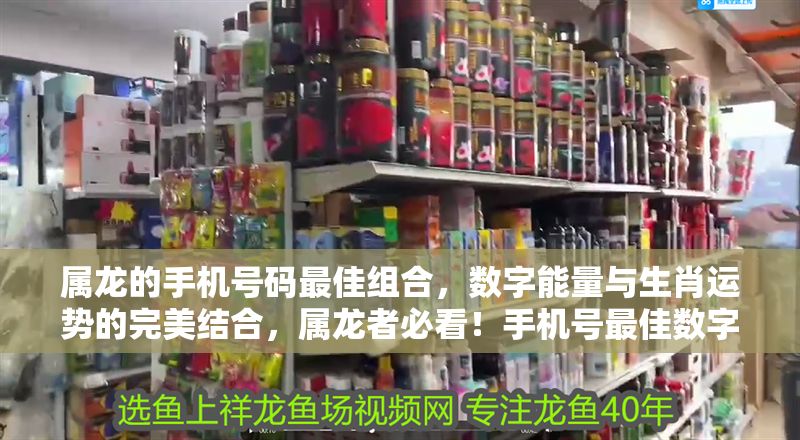 屬龍的手機號碼最佳組合，數字能量與生肖運勢的完美結合，屬龍者必看！手機號最佳數字組合助你運勢騰飛
