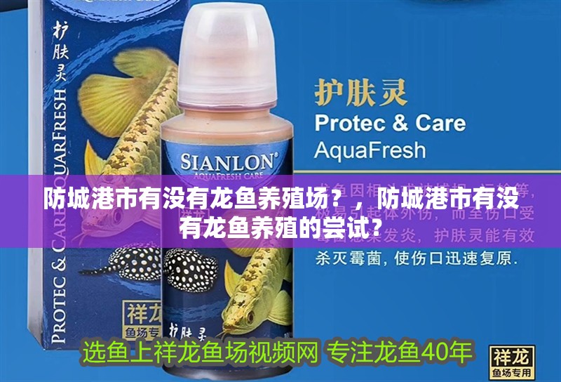 防城港市有沒有龍魚養(yǎng)殖場？，防城港市有沒有龍魚養(yǎng)殖的嘗試？