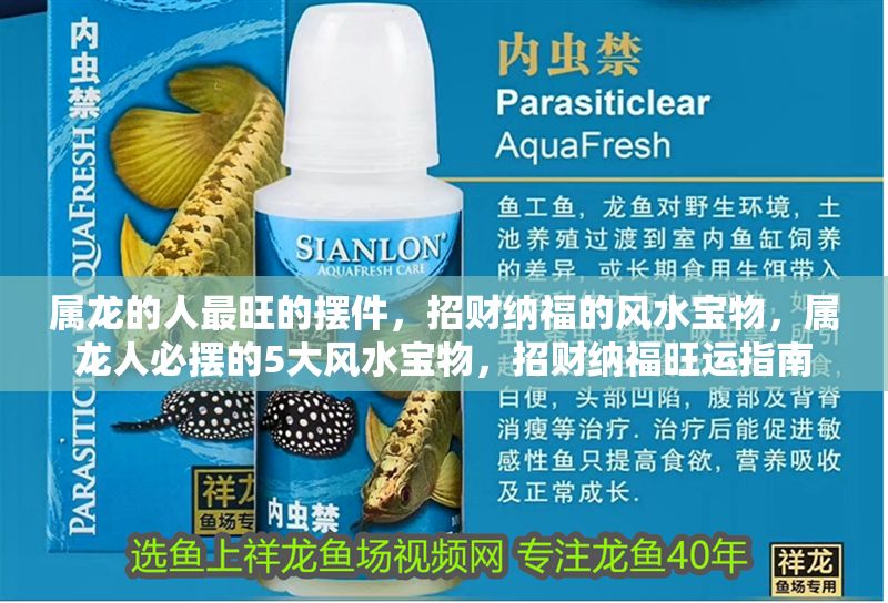 屬龍的人最旺的擺件，招財納福的風(fēng)水寶物，屬龍人必擺的5大風(fēng)水寶物，招財納福旺運指南