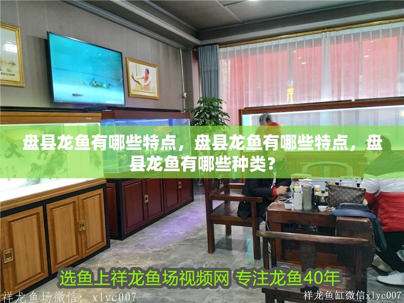 盤縣龍魚有哪些特點，盤縣龍魚有哪些特點，盤縣龍魚有哪些種類？