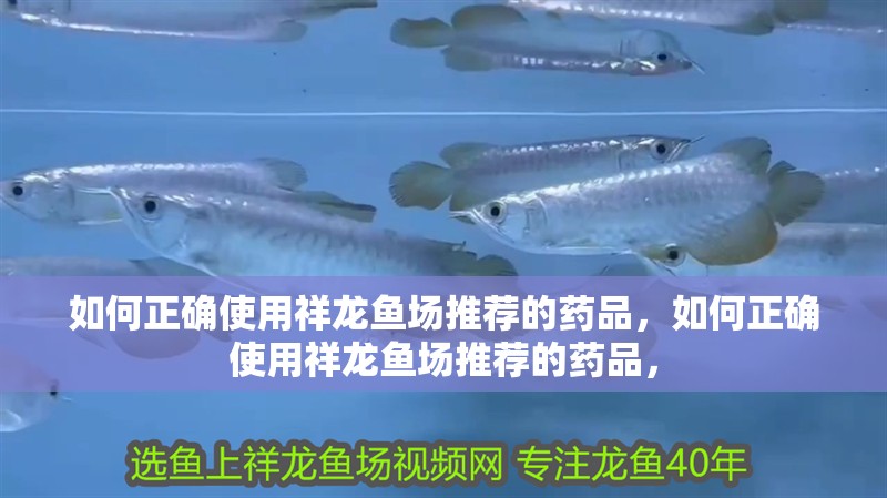 如何正確使用祥龍魚場推薦的藥品，如何正確使用祥龍魚場推薦的藥品，