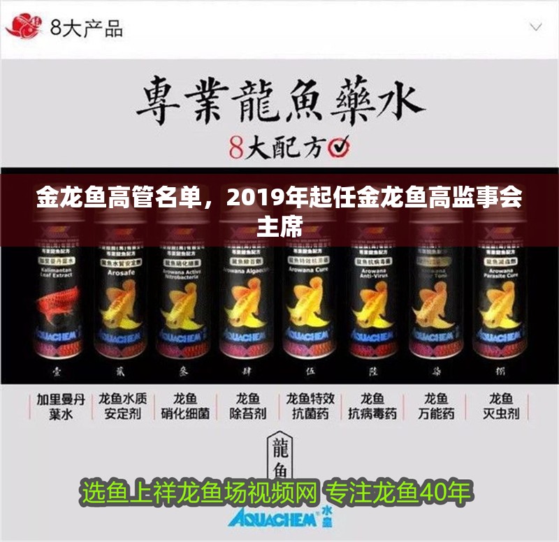 金龍魚高管名單，2019年起任金龍魚高監(jiān)事會主席 金龍魚高管名單，2019年起任金龍魚高監(jiān)事會主席 龍魚百科