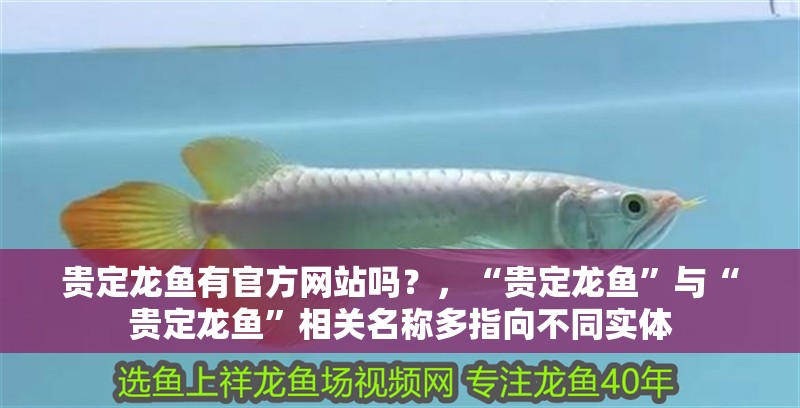 貴定龍魚有官方網站嗎？，“貴定龍魚”與“貴定龍魚”相關名稱多指向不同實體