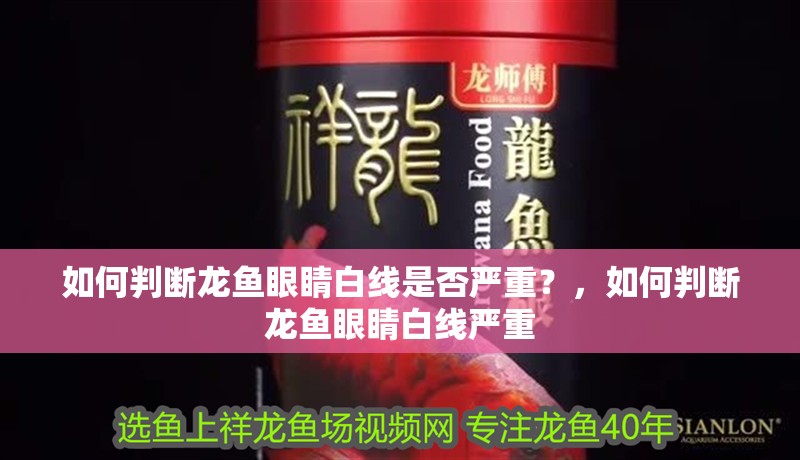 魚缸過濾器選購指南:自制魚缸過濾器魚缸上置過濾器對于養(yǎng)魚愛好者的必備知識 如何判斷龍魚眼睛白線是否嚴重?,如何判斷龍魚眼睛白線嚴重 龍魚百科 如何判斷龍魚眼睛白線是否嚴重?,如何判斷龍魚眼睛白線嚴重 如何判斷龍魚眼睛白線是否嚴重?,如何判斷龍魚眼睛白線嚴重 龍魚百科