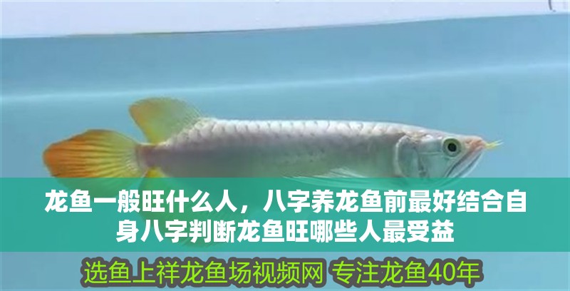 龍魚一般旺什么人，八字養龍魚前最好結合自身八字判斷龍魚旺哪些人最受益