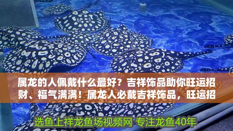 屬龍的人佩戴什么最好？吉祥飾品助你旺運招財、福氣滿滿！屬龍人必戴吉祥飾品，旺運招財福氣全攻略