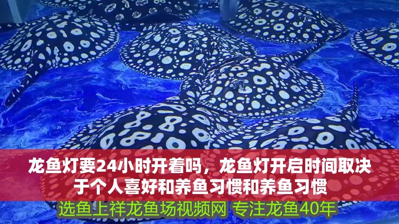 龍魚燈要24小時開著嗎，龍魚燈開啟時間取決于個人喜好和養魚習慣和養魚習慣