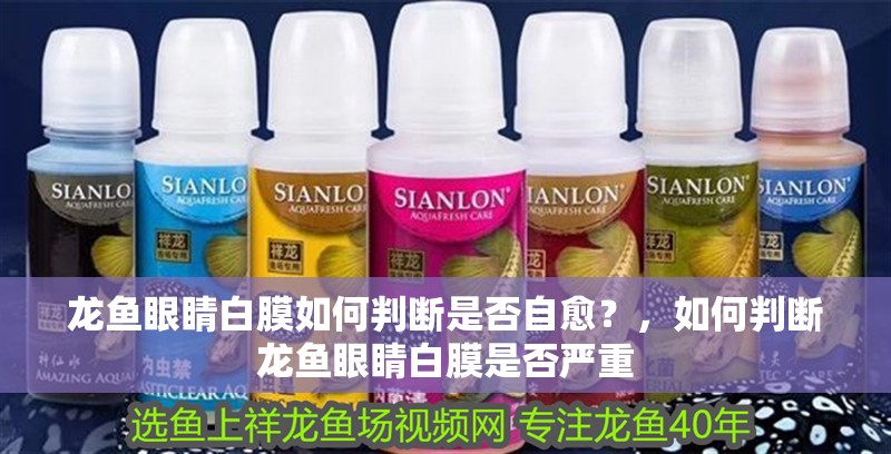 龍魚眼睛白膜如何判斷是否自愈？，如何判斷龍魚眼睛白膜是否嚴重