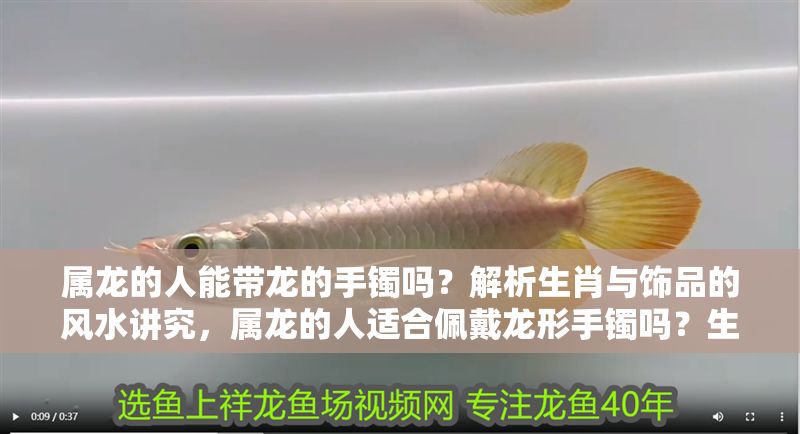 屬龍的人能帶龍的手鐲嗎？解析生肖與飾品的風水講究，屬龍的人適合佩戴龍形手鐲嗎？生肖飾品風水禁忌全解析