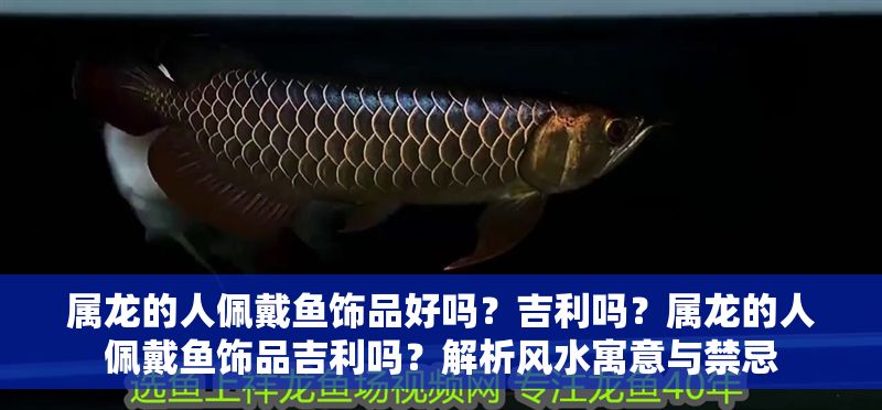 屬龍的人佩戴魚飾品好嗎？吉利嗎？屬龍的人佩戴魚飾品吉利嗎？解析風水寓意與禁忌