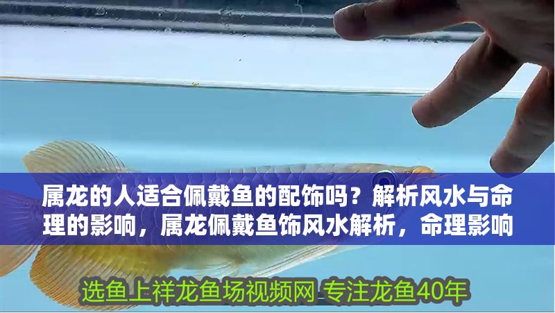 屬龍的人適合佩戴魚(yú)的配飾嗎？解析風(fēng)水與命理的影響，屬龍佩戴魚(yú)飾風(fēng)水解析，命理影響與宜忌指南