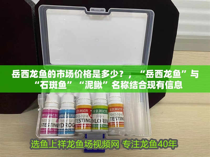 岳西龍魚的市場(chǎng)價(jià)格是多少？，“岳西龍魚”與“石斑魚”“泥鰍”名稱結(jié)合現(xiàn)有信息