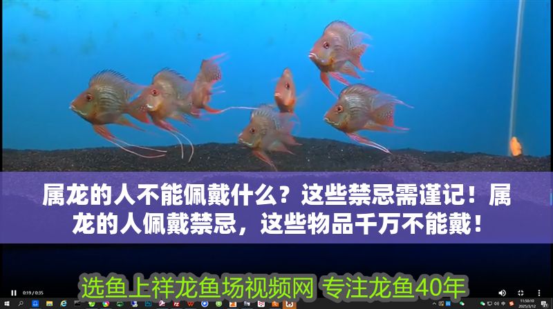 屬龍的人不能佩戴什么？這些禁忌需謹記！屬龍的人佩戴禁忌，這些物品千萬不能戴！ 屬龍的人不能佩戴什么？這些禁忌需謹記！屬龍的人佩戴禁忌，這些物品千萬不能戴！ 龍魚百科 第1張