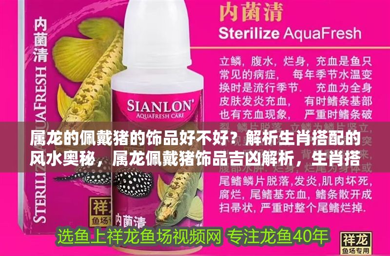 屬龍的佩戴豬的飾品好不好？解析生肖搭配的風(fēng)水奧秘，屬龍佩戴豬飾品吉兇解析，生肖搭配的風(fēng)水禁忌與開運(yùn)指南