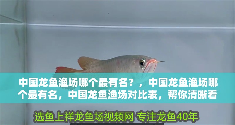 魚缸過濾器選購指南:自制魚缸過濾器魚缸上置過濾器對于養魚愛好者的必備知識 中國龍魚漁場哪個最有名?,中國龍魚漁場哪個最有名,中國龍魚漁場對比表,幫你清晰看出區別 龍魚百科 中國龍魚漁場哪個最有名?,中國龍魚漁場哪個最有名,中國龍魚漁場對比表,幫你清晰看出區別 中國龍魚漁場哪個最有名?,中國龍魚漁場哪個最有名,中國龍魚漁場對比表,幫你清晰看出區別 龍魚百科