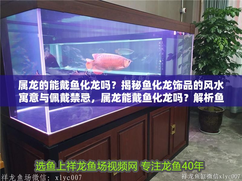 屬龍的能戴魚化龍嗎？揭秘魚化龍飾品的風水寓意與佩戴禁忌，屬龍能戴魚化龍嗎？解析魚化龍飾品的風水講究與佩戴宜忌