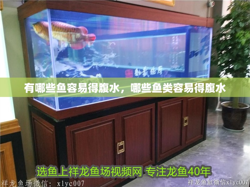 有哪些魚容易得腹水，哪些魚類容易得腹水