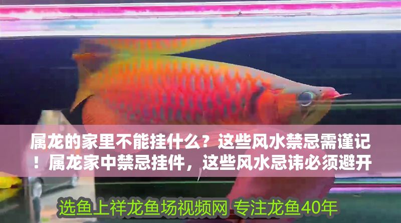 屬龍的家里不能掛什么？這些風(fēng)水禁忌需謹(jǐn)記！屬龍家中禁忌掛件，這些風(fēng)水忌諱必須避開！
