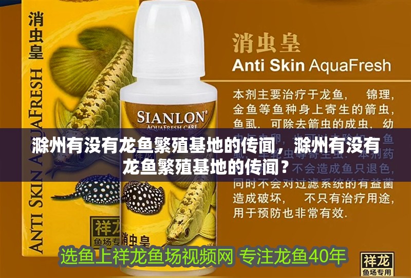 滁州有沒(méi)有龍魚(yú)繁殖基地的傳聞，滁州有沒(méi)有龍魚(yú)繁殖基地的傳聞？ 滁州有沒(méi)有龍魚(yú)繁殖基地的傳聞，滁州有沒(méi)有龍魚(yú)繁殖基地的傳聞？ 龍魚(yú)百科