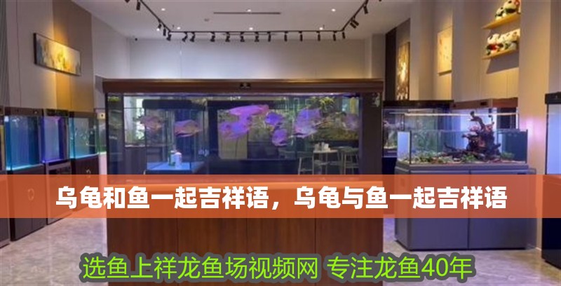 烏龜和魚一起吉祥語(yǔ)，烏龜與魚一起吉祥語(yǔ) 烏龜和魚一起吉祥語(yǔ)，烏龜與魚一起吉祥語(yǔ) 龍魚百科
