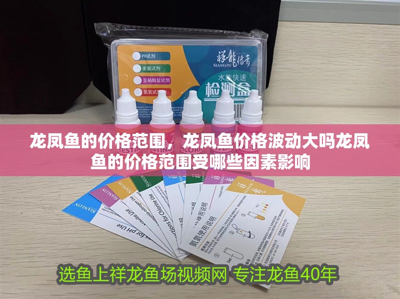 龍鳳魚的價格范圍，龍鳳魚價格波動大嗎龍鳳魚的價格范圍受哪些因素影響