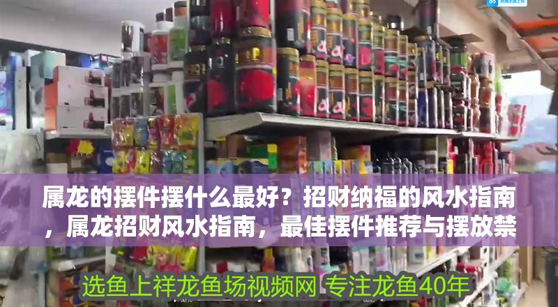 屬龍的擺件擺什么最好？招財納福的風水指南，屬龍招財風水指南，最佳擺件推薦與擺放禁忌