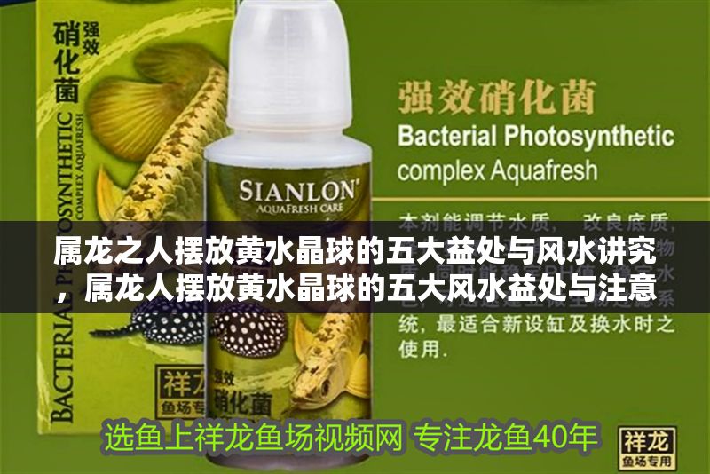 屬龍之人擺放黃水晶球的五大益處與風(fēng)水講究，屬龍人擺放黃水晶球的五大風(fēng)水益處與注意事項