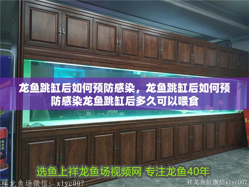 龍魚跳缸后如何預(yù)防感染，龍魚跳缸后如何預(yù)防感染龍魚跳缸后多久可以喂食