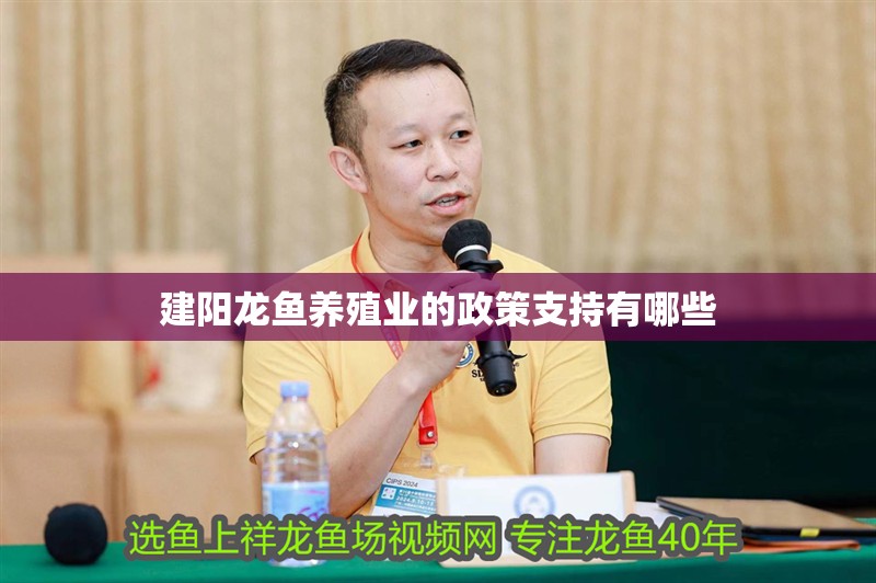 建陽龍魚養(yǎng)殖業(yè)的政策支持有哪些