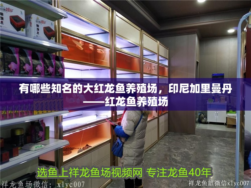 有哪些知名的大紅龍魚養殖場，印尼加里曼丹——紅龍魚養殖場