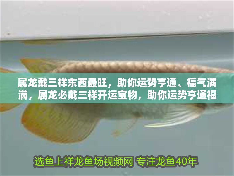 屬龍戴三樣東西最旺，助你運勢亨通、福氣滿滿，屬龍必戴三樣開運寶物，助你運勢亨通福氣爆棚！