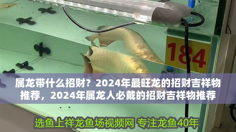 屬龍帶什么招財？2024年最旺龍的招財吉祥物推薦，2024年屬龍人必戴的招財吉祥物推薦