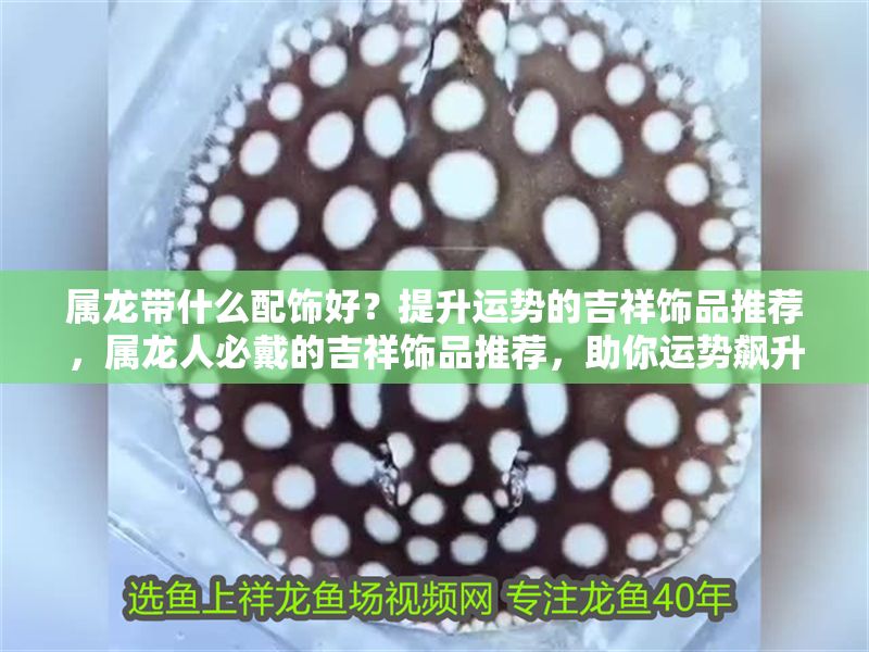 屬龍帶什么配飾好？提升運(yùn)勢(shì)的吉祥飾品推薦，屬龍人必戴的吉祥飾品推薦，助你運(yùn)勢(shì)飆升！