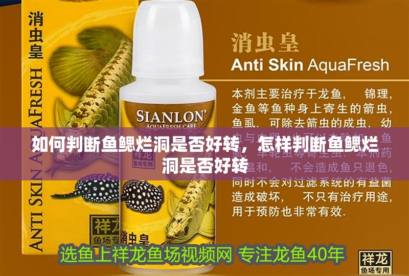 如何判斷魚鰓爛洞是否好轉，怎樣判斷魚鰓爛洞是否好轉 如何判斷魚鰓爛洞是否好轉，怎樣判斷魚鰓爛洞是否好轉 龍魚百科