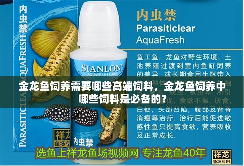 金龍魚飼養(yǎng)需要哪些高端飼料，金龍魚飼養(yǎng)中哪些飼料是必備的？ 金龍魚飼養(yǎng)需要哪些高端飼料，金龍魚飼養(yǎng)中哪些飼料是必備的？ 龍魚百科