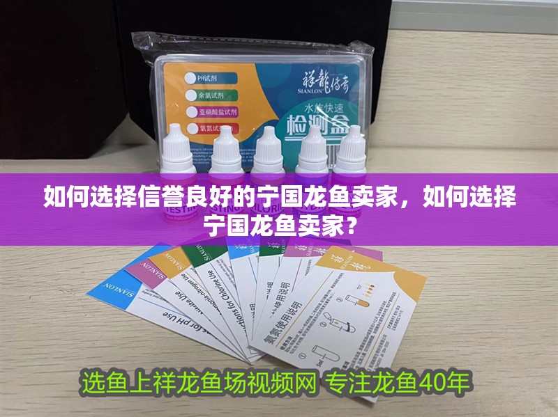 如何選擇信譽(yù)良好的寧國(guó)龍魚(yú)賣家，如何選擇寧國(guó)龍魚(yú)賣家？