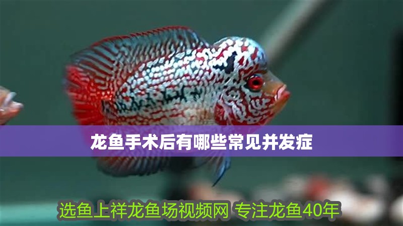 魚缸用增氧泵價(jià)格是多少:魚缸增氧機(jī)-xtrac增氧機(jī)-xtrac增氧機(jī) 龍魚手術(shù)后有哪些常見并發(fā)癥 龍魚百科 龍魚手術(shù)后有哪些常見并發(fā)癥 龍魚手術(shù)后有哪些常見并發(fā)癥 龍魚百科