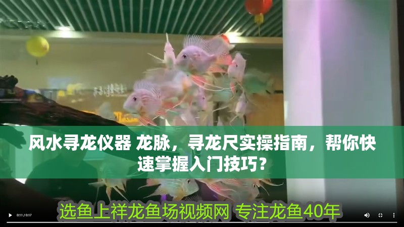 風水尋龍儀器 龍脈，尋龍尺實操指南，幫你快速掌握入門技巧？